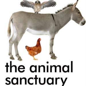 Animal-Sanctuary Animal-Sanctuary