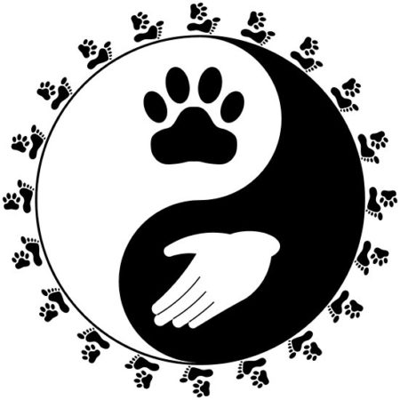 AN ORGANIZATION TO HELP ANIMALS AN ORGANIZATION TO HELP ANIMALS