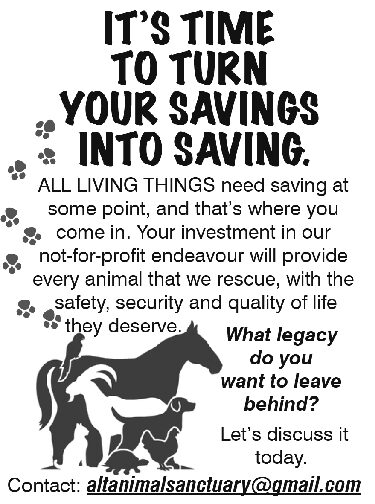 ALT Animal Sanctuary ALT Animal Sanctuary