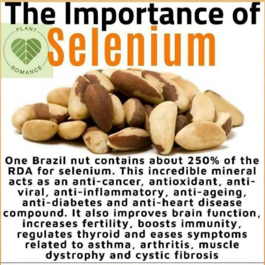 Brazil nuts, selenium